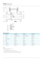 FASANI CHECK VALVES BOLTED BONNET CONFIGURATION-2