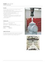 FASANI CHECK VALVES BOLTED BONNET CONFIGURATION-7