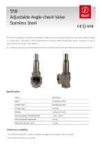 55B SS adjustable angle check valve stainless steel