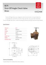 60R shut off angle check valve-1
