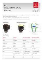62 angle check valve-1