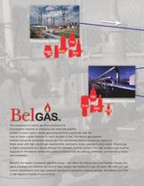 Marsh Bellofram BelGAS Division Natural Gas Pipeline Monitoring Capabilities Brochure - 2