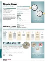 Marsh Bellofram PCD Division Value Series Gauges, Diaphragm Seals, Pressure Indicators - 4