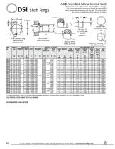 DSI - 1