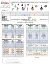 Diaphragm-Poppet Valve Flyer - 2