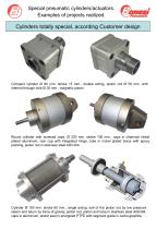 Cylinders totally special according customer design-1