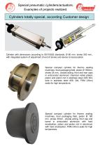 Cylinders totally special according customer design-2