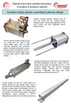 Cylinders totally special according customer design-3
