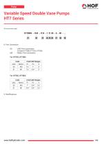 Variable Speed Single Vane Pumps HT7 Series-13