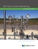 Sentry Saf-T-Vise Corrosion Monitoring - 1