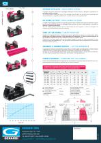 FLYER - NEW 5G Vises-2