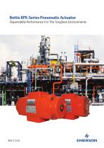 RPE-Serie-1