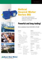 Helical  Geared Motor  Series BG-1