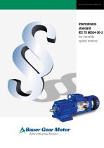 International standard IEC TS 60034-30-2-1