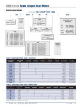 Series 2000 Inline Helical Gear Drives and Gear Motors-4