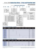 Series 2000 Inline Helical Gear Drives and Gear Motors-5