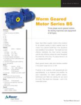 Worm Geared Motor Series BS-1