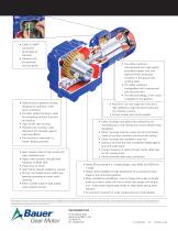 Worm Geared Motor Series BS-2