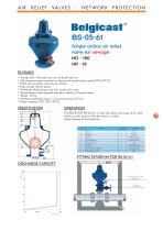 Belgicast Air Relief Valves-13