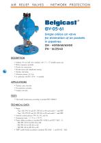 Belgicast Air Relief Valves-8