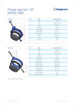 Belgicast Butterfly Valves-14