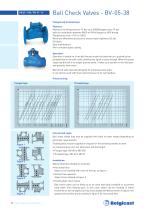 BELGICAST Check Valves brochure-10