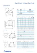 BELGICAST Check Valves brochure-11