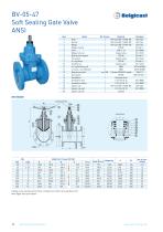 Belgicast Soft Sealing Gate Valves-10
