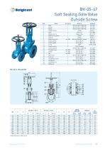 Belgicast Soft Sealing Gate Valves-11