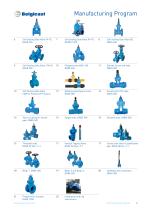 Belgicast Soft Sealing Gate Valves-3
