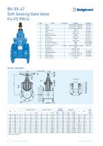 Belgicast Soft Sealing Gate Valves-6