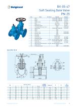Belgicast Soft Sealing Gate Valves-9