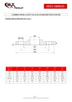 Gate-Valve-Cast.Steel-ANSI150# - 5