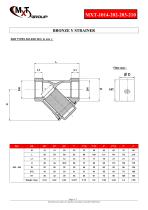 Strainer-Y.type-Threaded-Bronze - 4