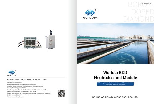 Worldia BDD Electrodes and Module