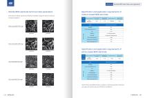 Worldia BDD Electrodes and Application-9
