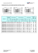 CORSSOVER ROLLER SLEWING BEARING (EXTERIAL GEAR) - 1