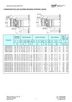 CORSSOVER ROLLER SLEWING BEARING (INTERIAL GEAR)-1