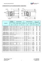 CORSSOVER ROLLER SLEWING BEARING (UNGEARED)-1