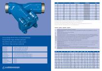 Y-form strainer with PN 40 welded ends-2