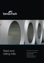 Inline analytical technology for the metal industry: monitoring of pickling and chrome plating baths, emulsion control, monitoring of acid regeneration and electrolytic galvanizing - 1