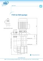 T Pumps-16