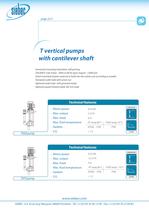 T Pumps-2