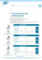 T Pumps-4