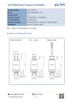 CS-PT300G-3