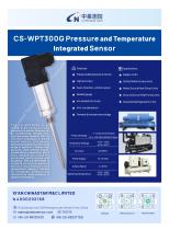 CS-WPT300G-1