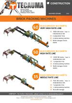 C011 High-rate packing machine for bricks-2