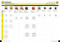 PHOENIX CAM SWITCHES - 11