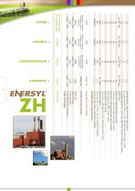 OMERIN ENERSYL® catalogue - 5