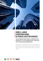 Smes, large corporations and public sector bodies